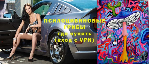Альфа ПВП Алзамай