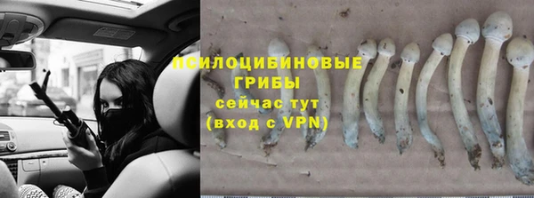 ALPHA PVP Алексеевка