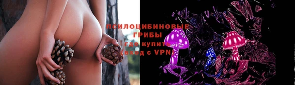 Альфа ПВП Алзамай