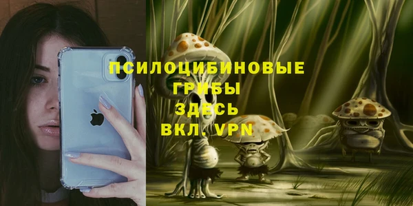 скорость Алексин