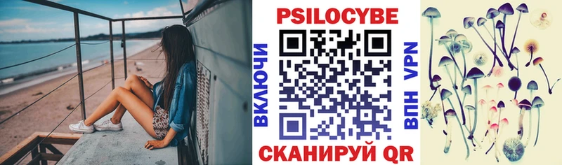 Псилоцибиновые грибы Psilocybe  наркошоп  Карачев 